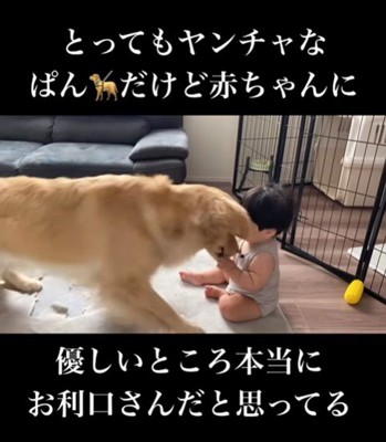 赤ちゃんに優しいぱん君5