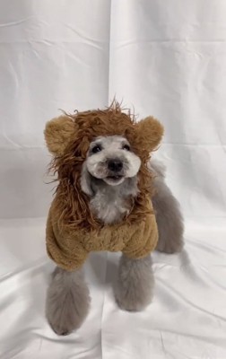 ライオン姿のこてつくん2