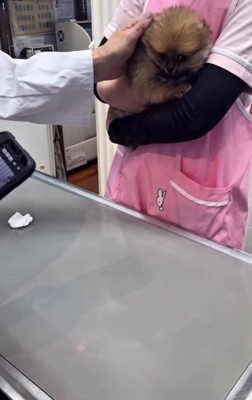 まんざらでもなさそう♡