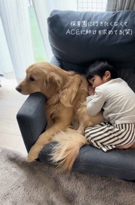 愛いっぱいの光景