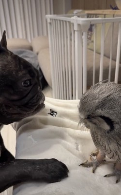 優しいまなざし