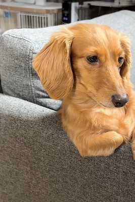 ひじ掛けを使う凪ちゃん