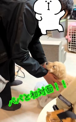 パパと初対面のかんくろう君