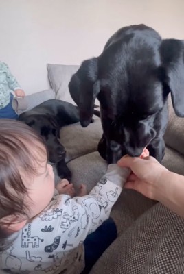 口元に持っていく