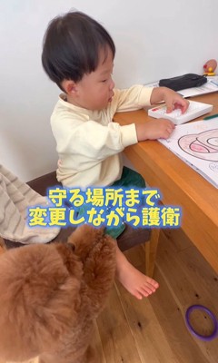 男の子を心配するレオくん7