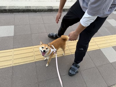 ニコニコ