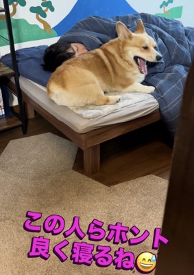 どぁーー!