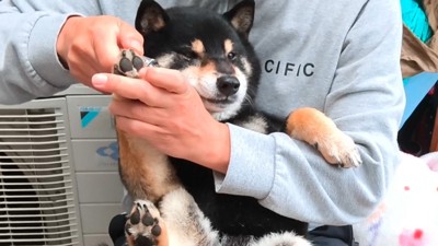 険しい表情で耐えています