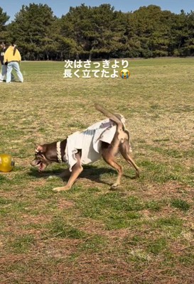自分だけで歩き出した!