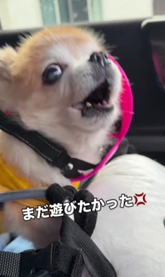 「まだ遊びたい！」