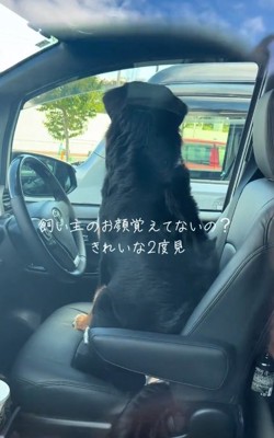 お母さんの帰りを待つはくちゃん