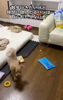 動き出したちくわちゃん