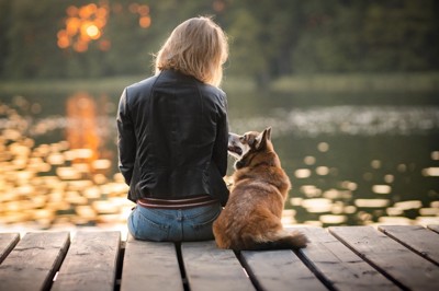 並んで座る犬と女性