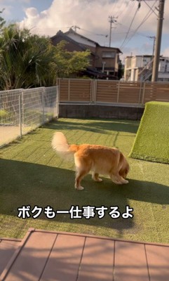 シンバくんのお見送り後の行動9