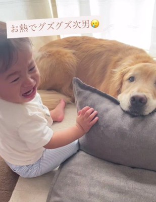 愛犬のラジャーくんが…