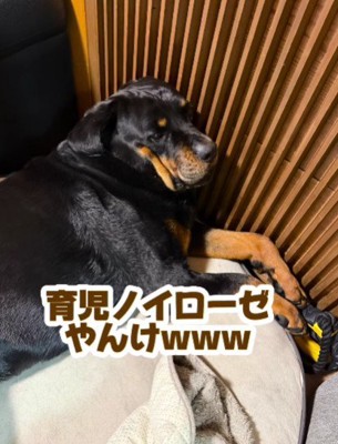 育児に疲れることも！？