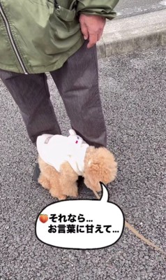 足元にちょこんと座ると…