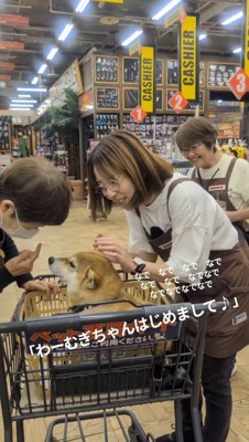犬が乗ったカートを囲む店員たち