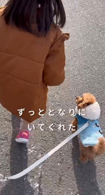 寄り添って歩く犬と子ども
