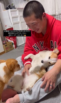 撫でられたいたるとちゃんVSパパさん⑩