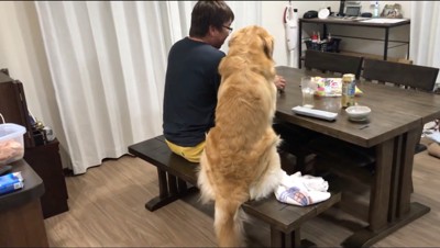 テーブルの上に乗ったお菓子の袋を見つめる犬