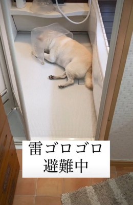 「音も聞こえないしさ…」