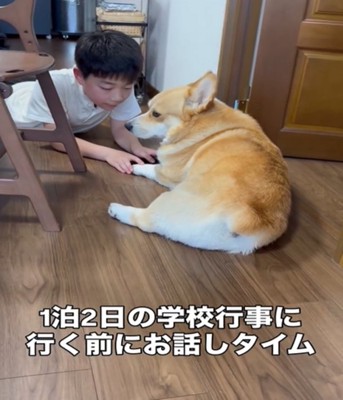 犬と男の子
