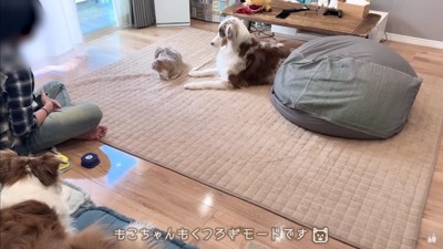 遊びたいけど…