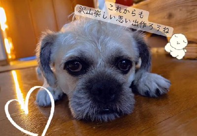 「この子しかいない」