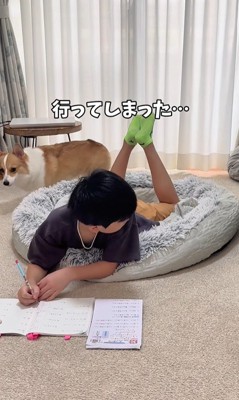 宿題中の男の子とココちゃん5