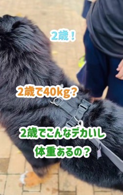 あざちゃんに興味津々!!