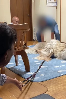 半ば強制的に連れ出すことに