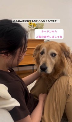 甘えながらご飯を気にするハルちゃん7