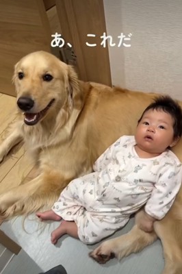 犬の体に寝る赤ちゃん1
