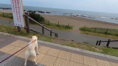 海にやってきました