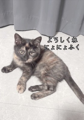 仲良くなれるかな?