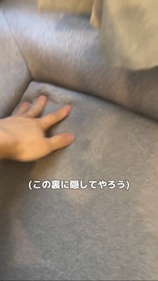 ソファーの裏にボールを隠すパパさん
