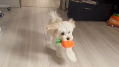 病院で診てもらったら…？