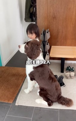 犬を見つめる女の子
