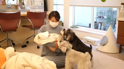2匹ともママさんに夢中！