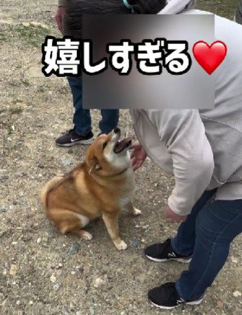 満面の笑みで再会を喜ぶ