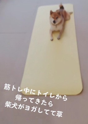 トイレから戻ってきたら…