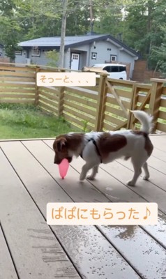 そろ〜り