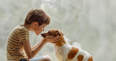 犬と男の子