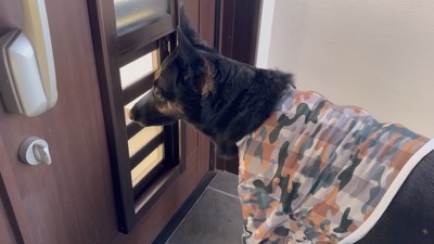 寂しそうな姿が切ない!