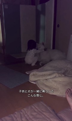 優しくモフモフ…