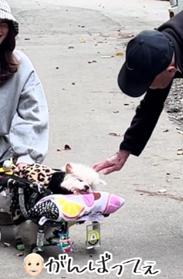 お散歩中に出会ったおじいちゃん