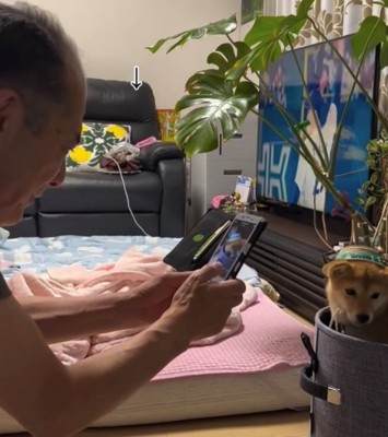 犬にスマホを向ける人4