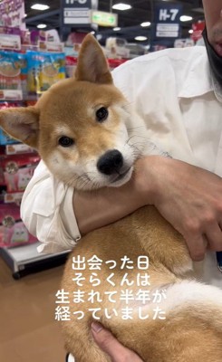 そらくんとの出会いとその後の様子