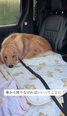 想定外の対処法に爆笑!!